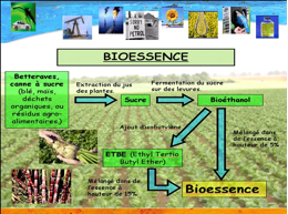 biocarburant_3